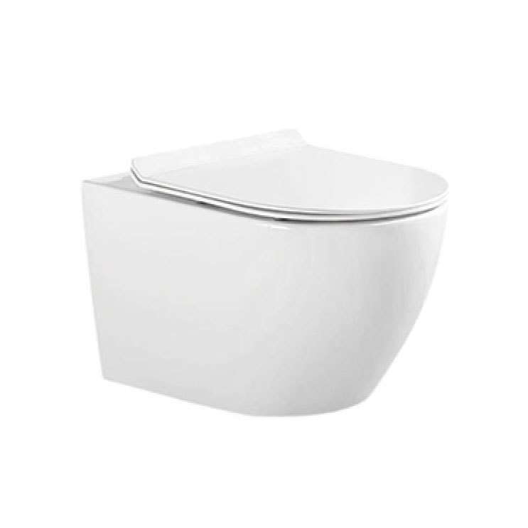 TZ-G905 對(duì)沖式挂牆坐(zuò)便器(qì)